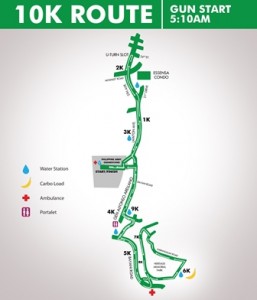 Heroes Run 2013 10K Map