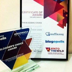 Nuffie Awards 2013 - Bloggers Choice Award