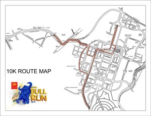 PSE Bull Run 2014 10K Race Map