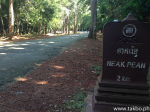 Angkor Wat Marathon 2014 - Trees